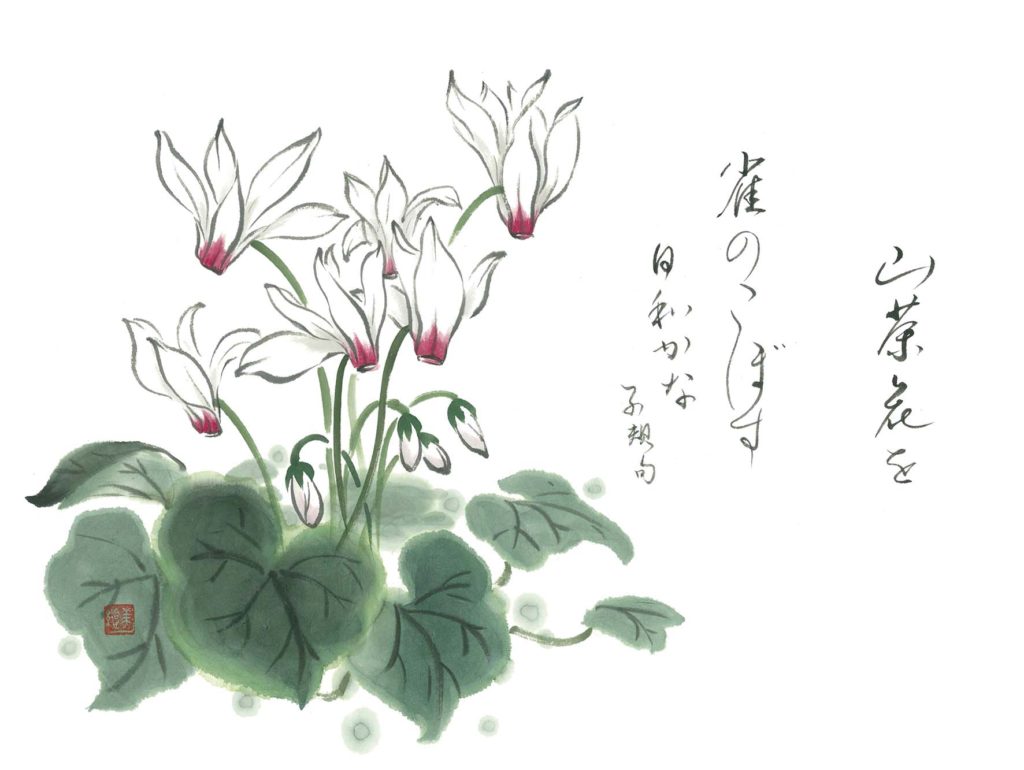 イラストルームマツムラ Illustroom Matsumura 松村美絵公式サイト シクラメン Cyclamen